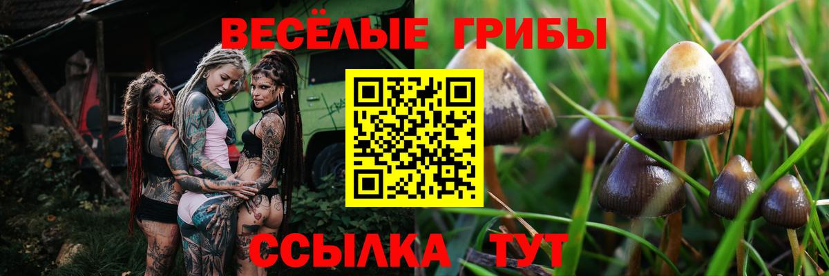 Псилоцибиновые грибы мухоморы  Галлюциногенные грибы мухоморы  Конаково  Вход с VPN 